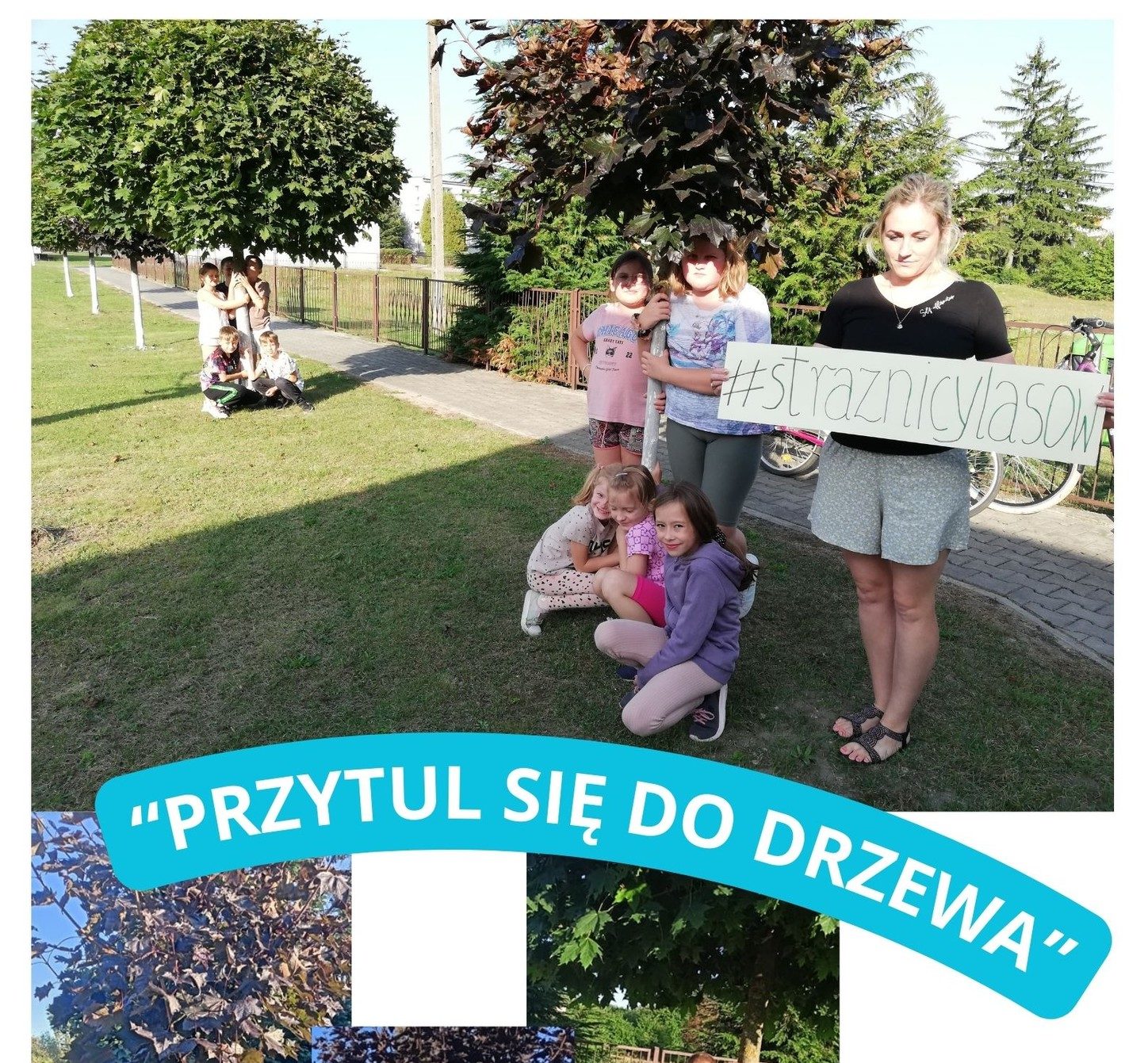 You are currently viewing Ogólnopolska Kampania “PRZYTUL SIĘ DO DRZEWA”
