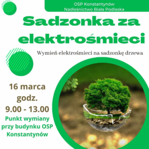 Read more about the article Sadzonka za elektrośmieci !