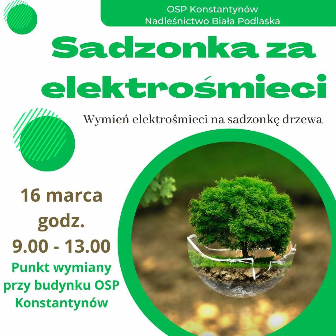 You are currently viewing Sadzonka za elektrośmieci !
